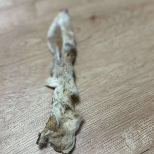 OREILLE DE LAPIN AVEC POILS