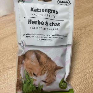 HERBE À CHAT
