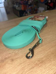 LONGE EN BIOTHANE VERT MENTHE 15M