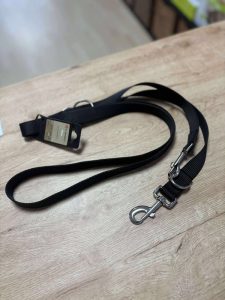 LAISSE D'ENTRAÎNEMENT ZIGGY NOIR 2.5M