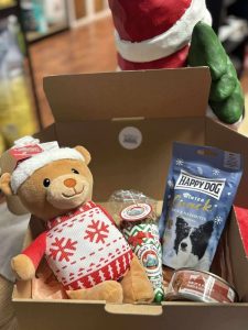 BOX DE NOËL POUR CHIEN
