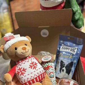 BOX DE NOËL POUR CHIEN