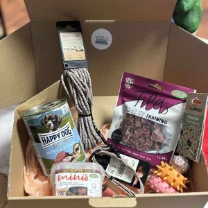 BOX DÉCOUVERTE POUR CHIOT