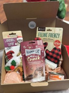 BOX DE NOËL POUR CHAT