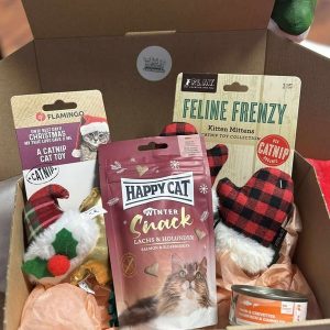 BOX DE NOËL POUR CHAT