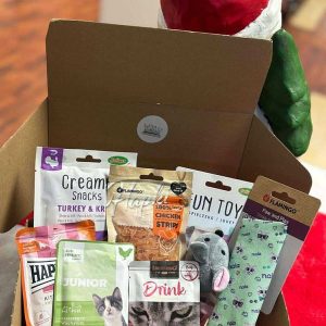 BOX DÉCOUVERTE POUR CHATON