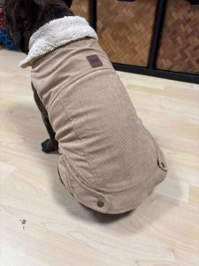 MANTEAU BEIGE OU ROSE