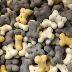 BISCUITS PUPPY VANILLE