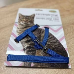Harnais bleu chat