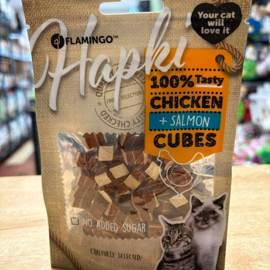 611244847_2330193274121975_1385279398009490785_n