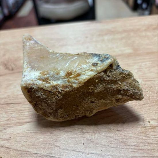 614655651_1410237190829975_3930520736731125768_n