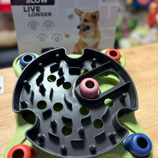 614757098_1822430791796289_3306289764744830047_n