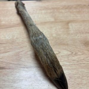 Patte de cerf avec poils