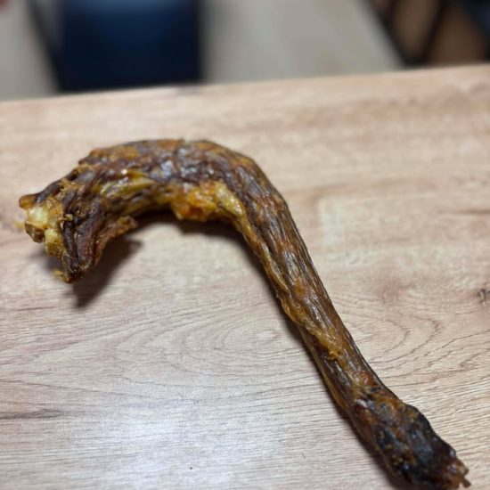 618637108_2059406014847621_7746255367009461792_n