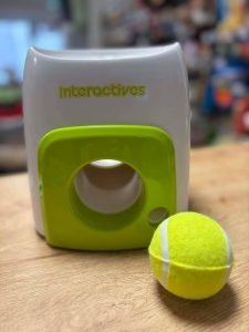 Jouet interactif avec balle