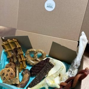 Box mastication découverte premium