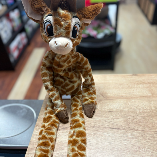 Gallery image 1 Gallery image 1