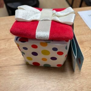 Cadeau anniversaire de fouille